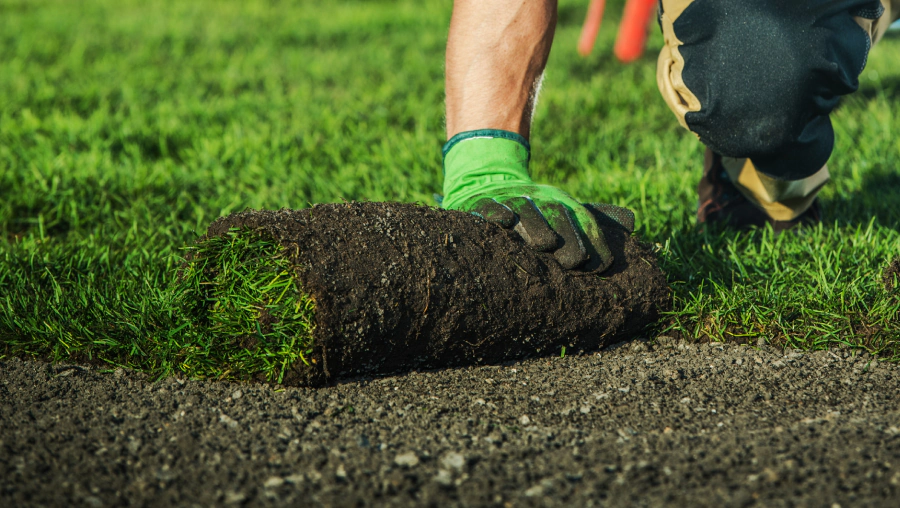 sod installation